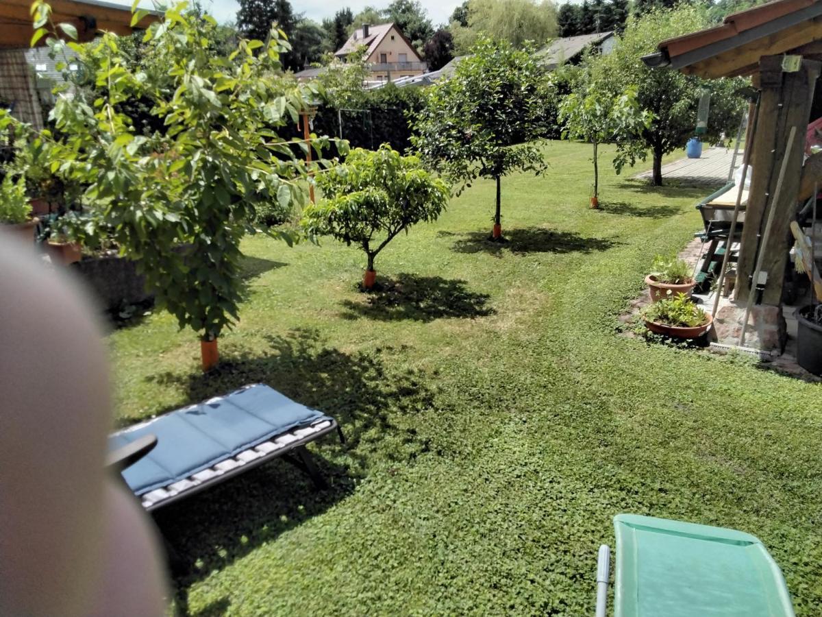 Fewo Jehle Sued Nord Rust Bagian luar foto
